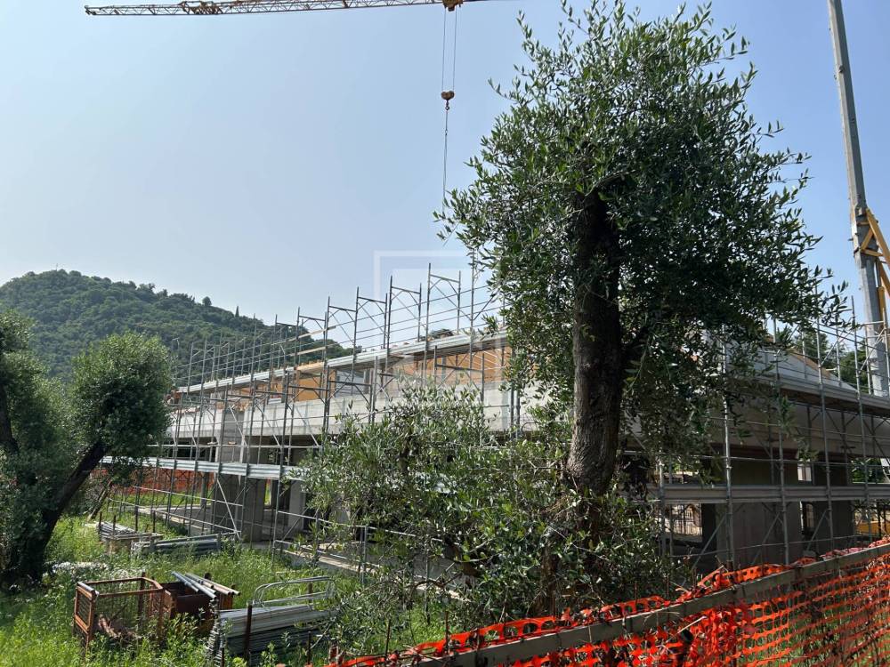 immagine annuncio 4 di 14