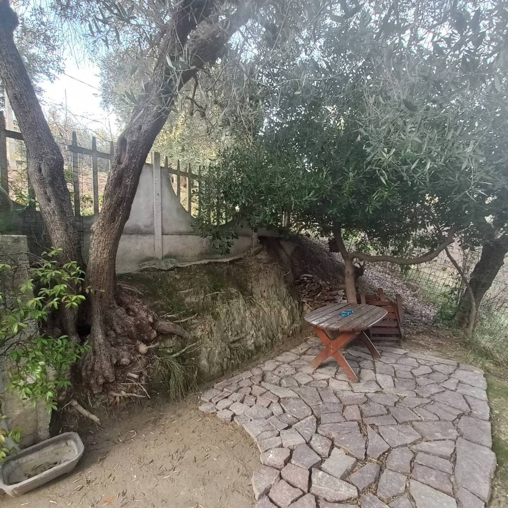 immagine annuncio 13 di 14