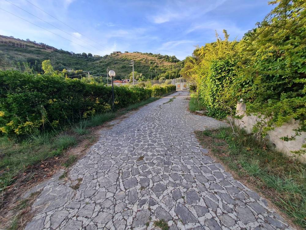 immagine annuncio 10 di 13