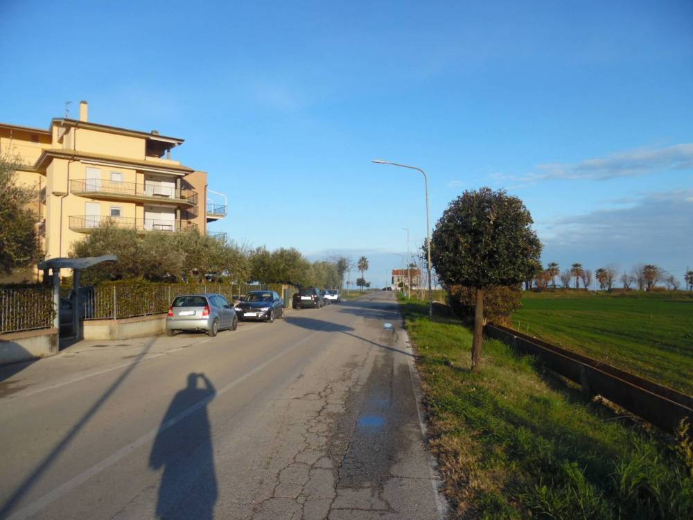 immagine annuncio 12 di 13