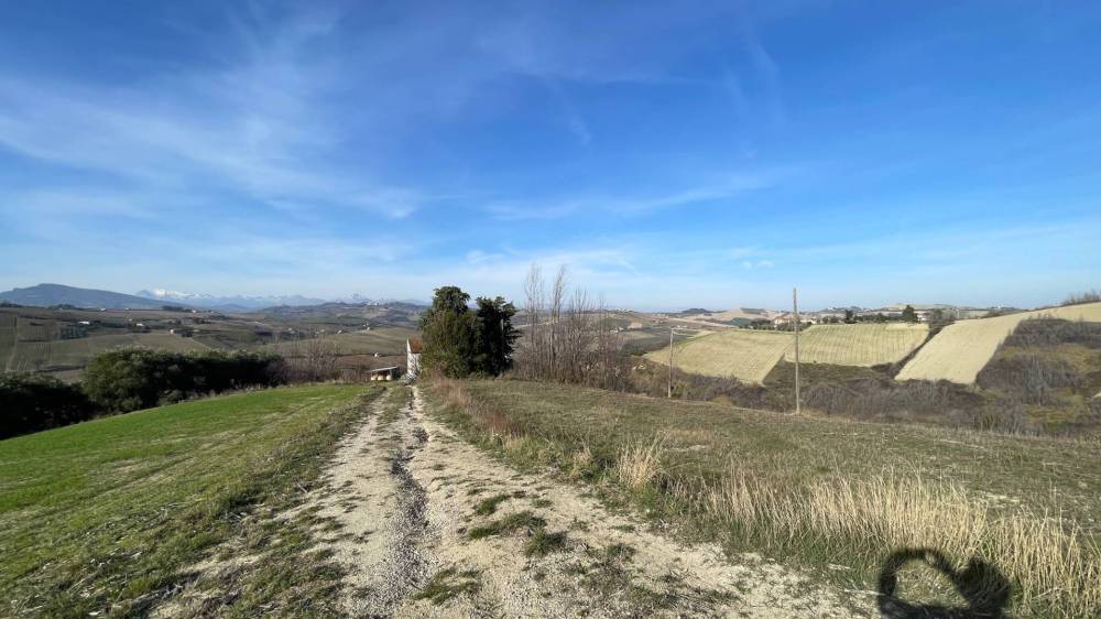 immagine annuncio 10 di 13