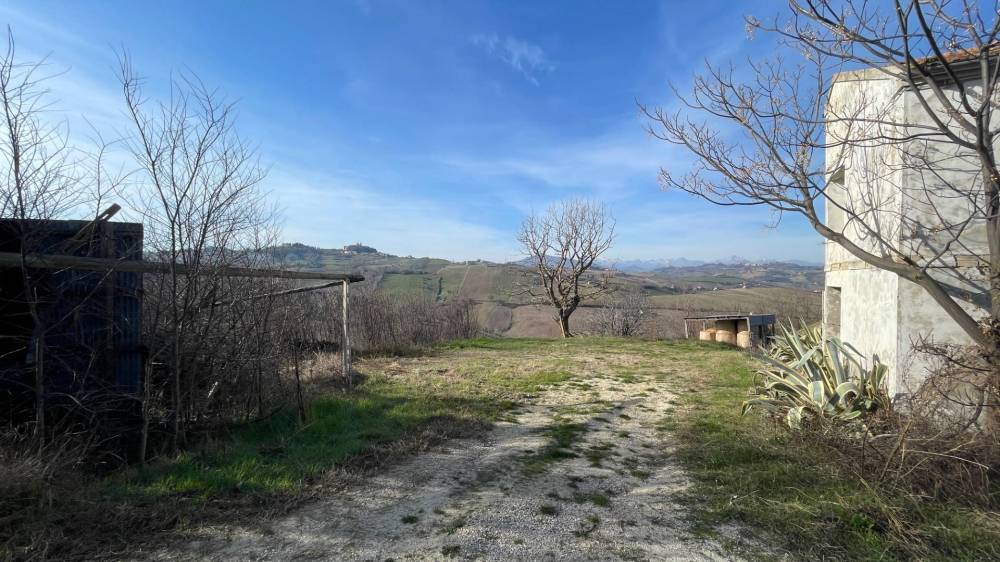 immagine annuncio 11 di 13