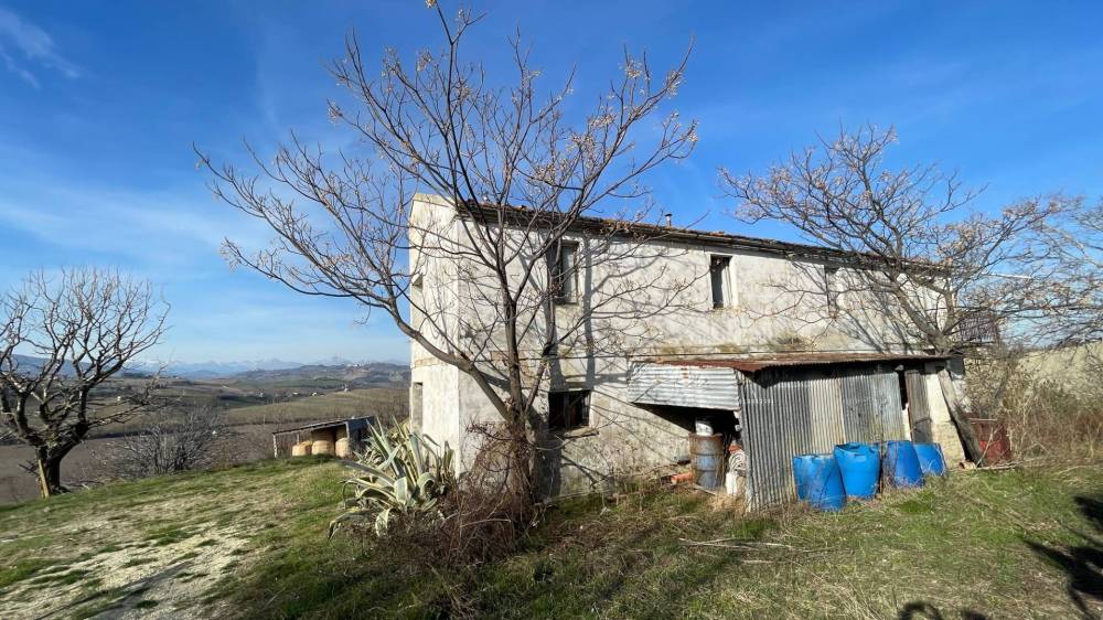 immagine annuncio 9 di 13