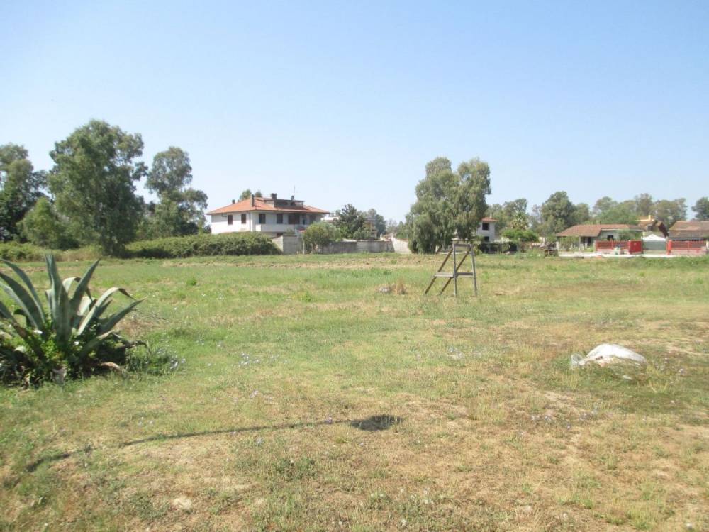immagine annuncio 2 di 13