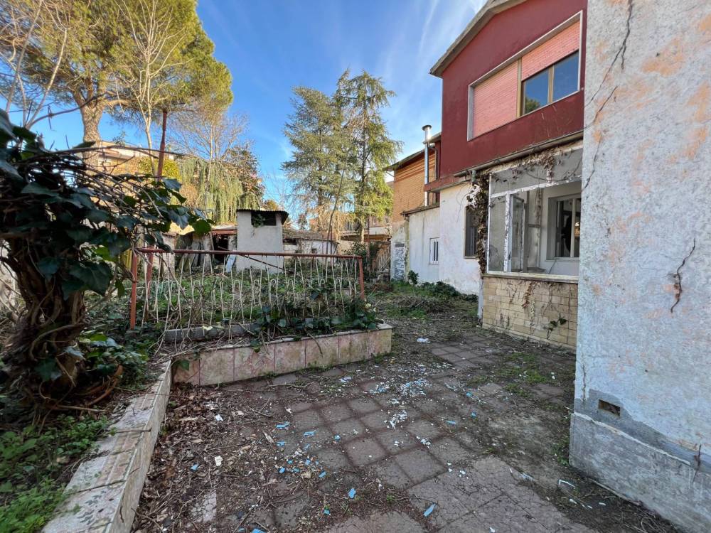 immagine annuncio 3 di 13