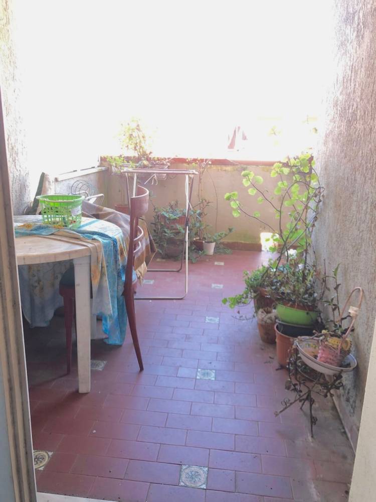 immagine annuncio 2 di 7