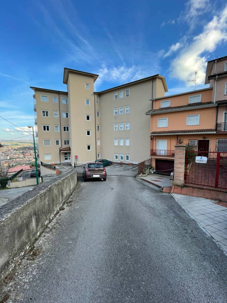 immagine annuncio 1 di 13
