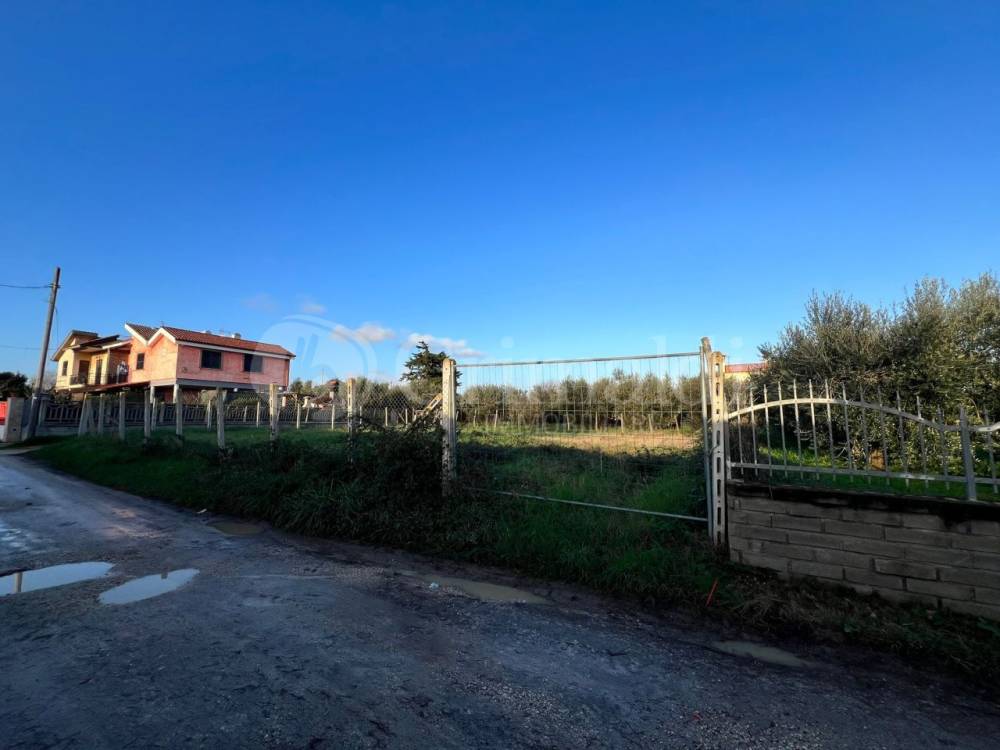 immagine annuncio 2 di 6