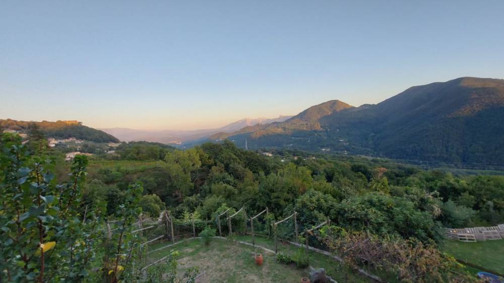 immagine annuncio 7 di 13