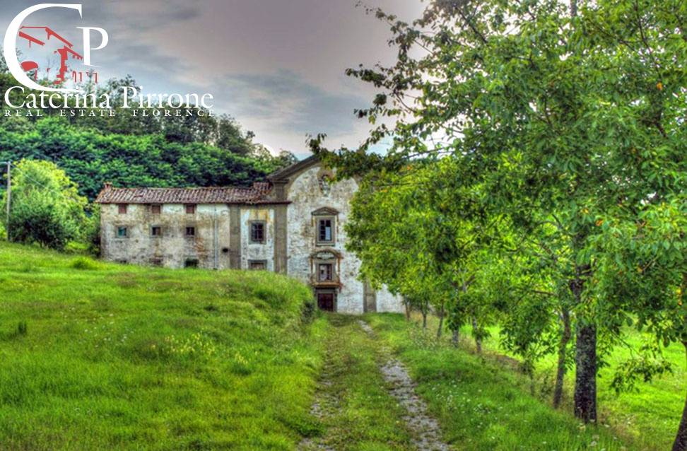 immagine annuncio 10 di 14