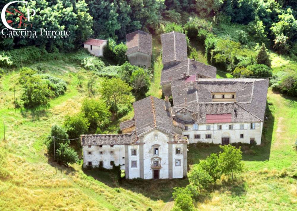 immagine annuncio 12 di 14