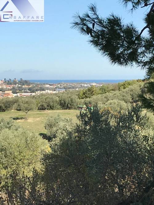 immagine annuncio 1 di 9