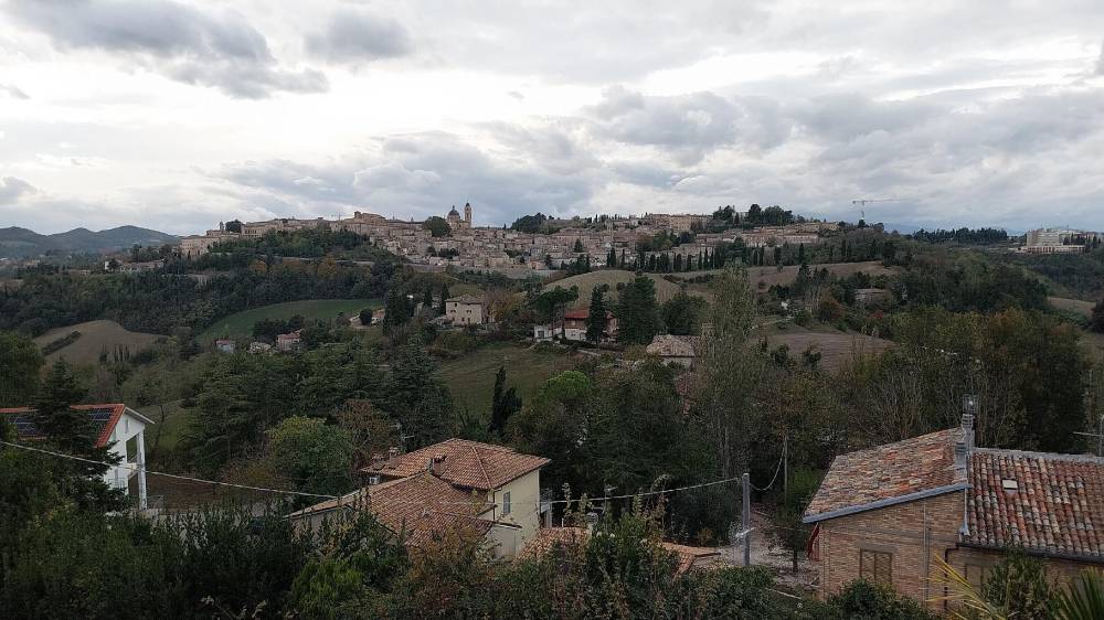 immagine annuncio 5 di 6