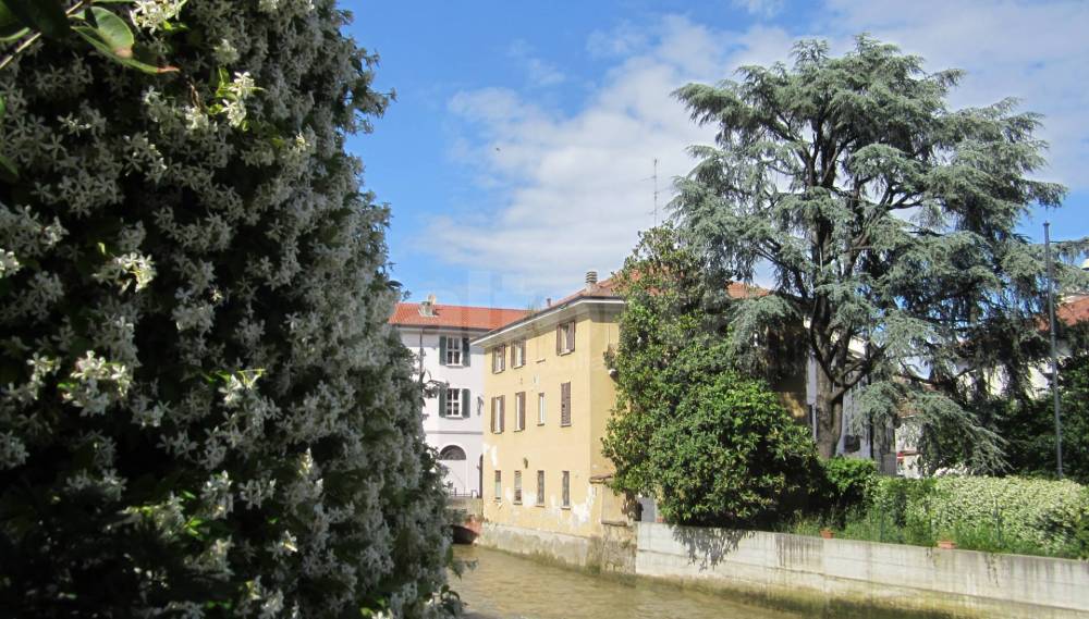 immagine annuncio 4 di 13