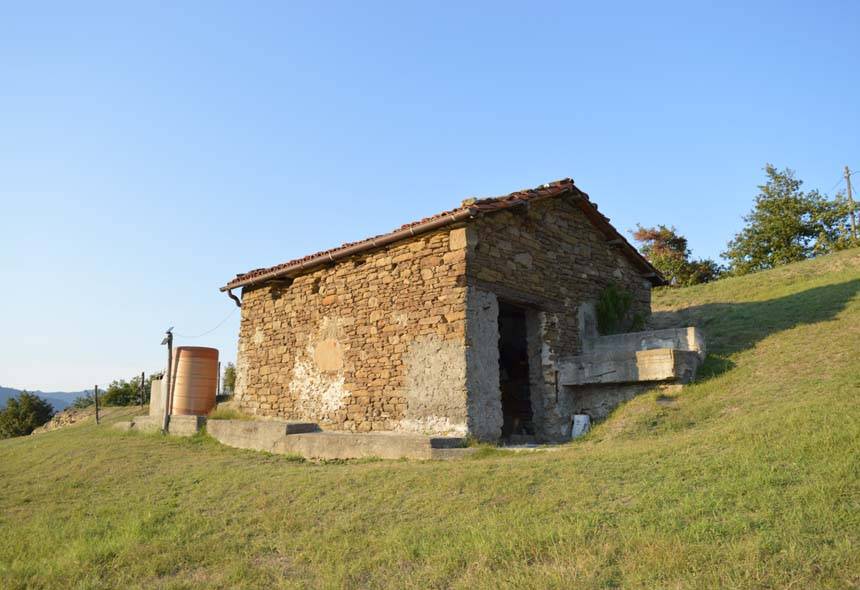 immagine annuncio 6 di 11