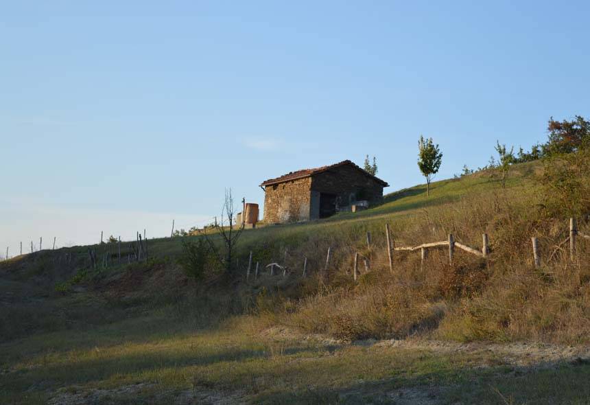 immagine annuncio 7 di 11
