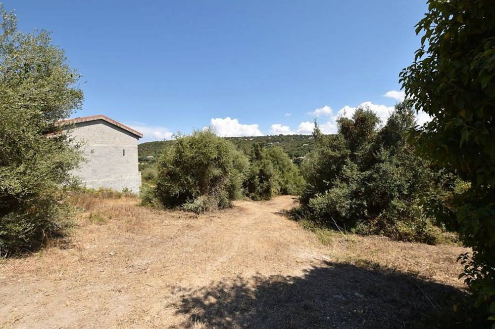 immagine annuncio 8 di 13