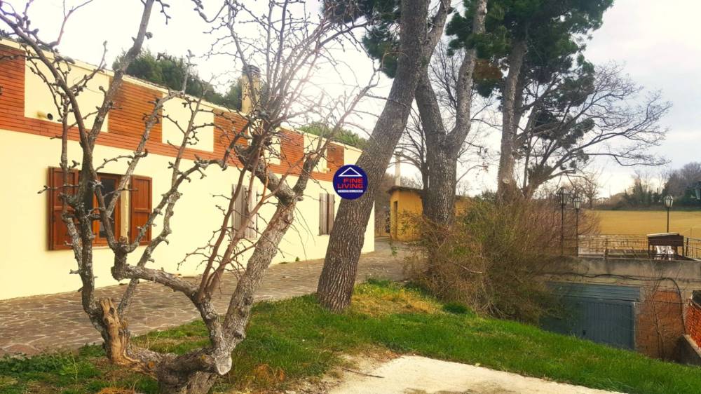 immagine annuncio 8 di 13