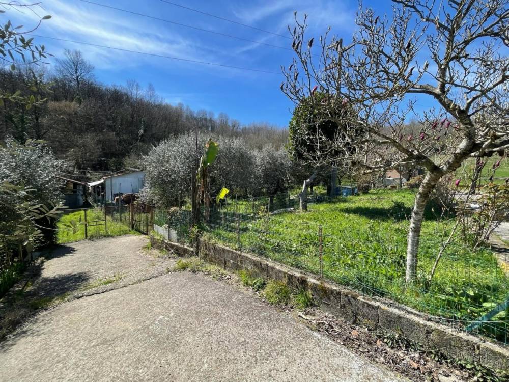 immagine annuncio 5 di 13
