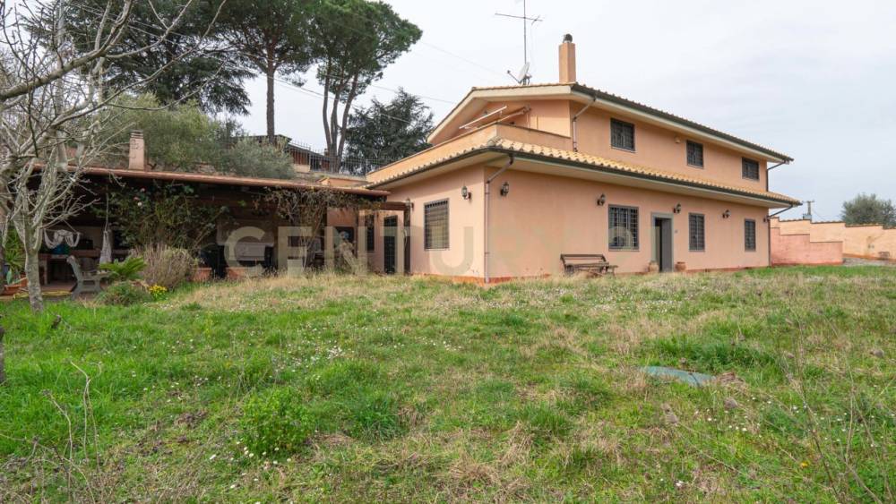 immagine annuncio 12 di 14