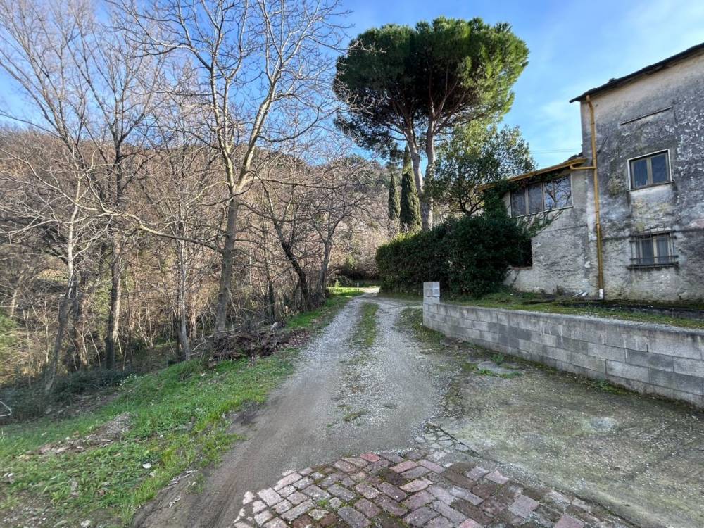 immagine annuncio 6 di 13