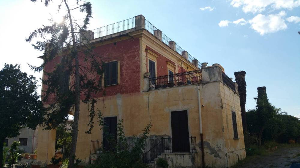 immagine annuncio 11 di 13