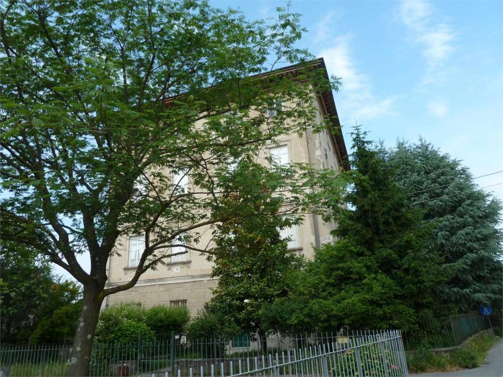 immagine annuncio 2 di 13