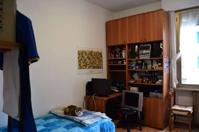immagine annuncio 9 di 13