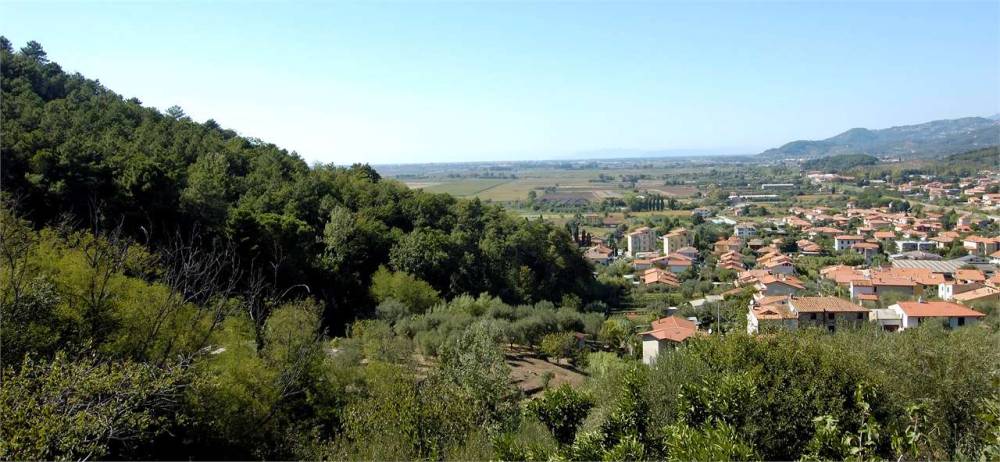immagine annuncio 5 di 13
