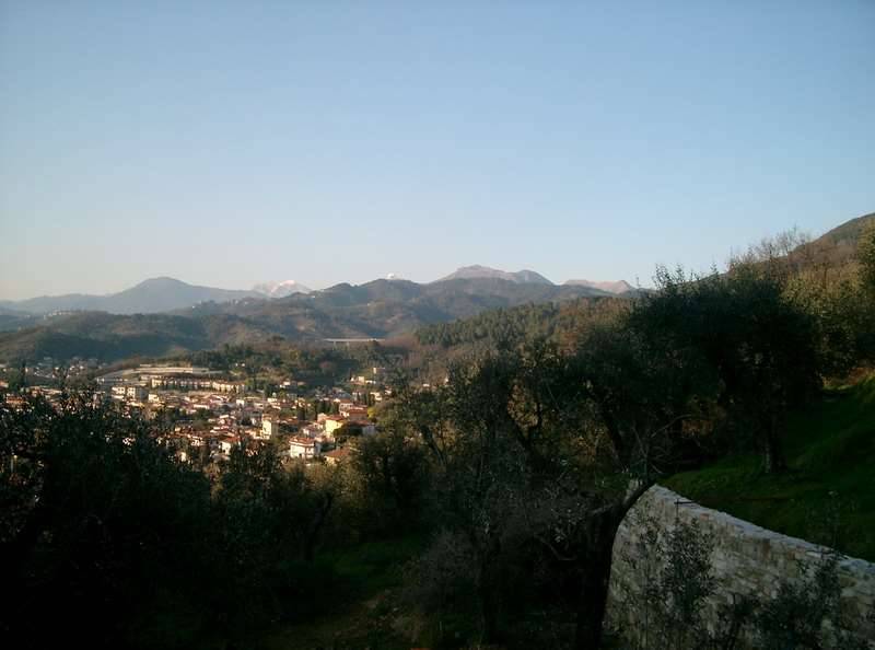 immagine annuncio 12 di 13