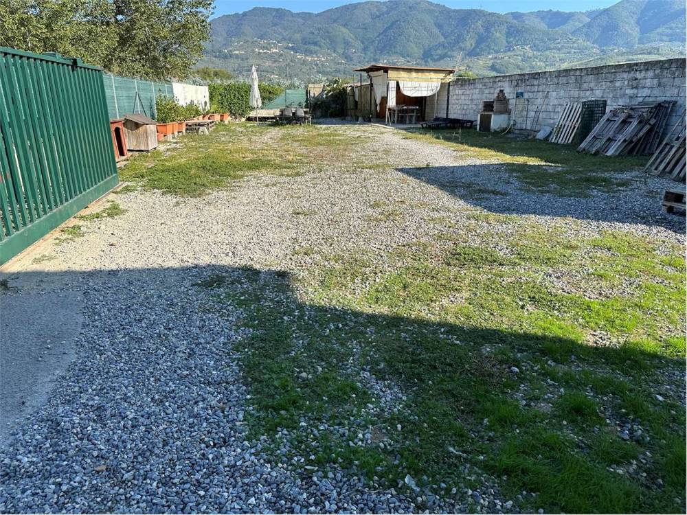 immagine annuncio 5 di 6