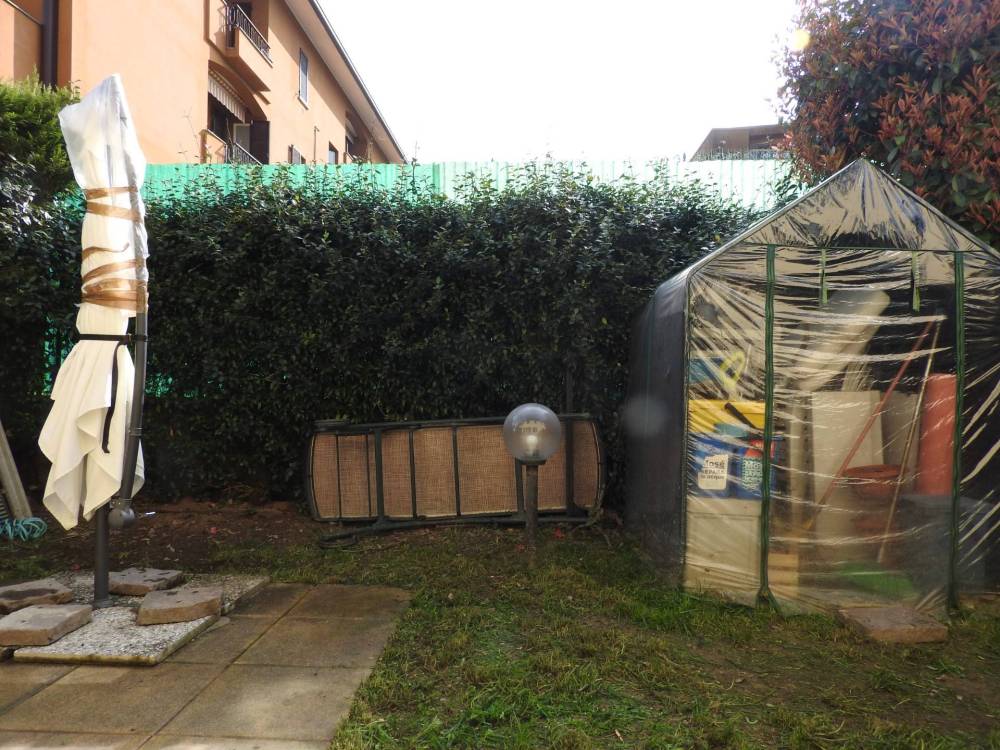 immagine annuncio 3 di 11