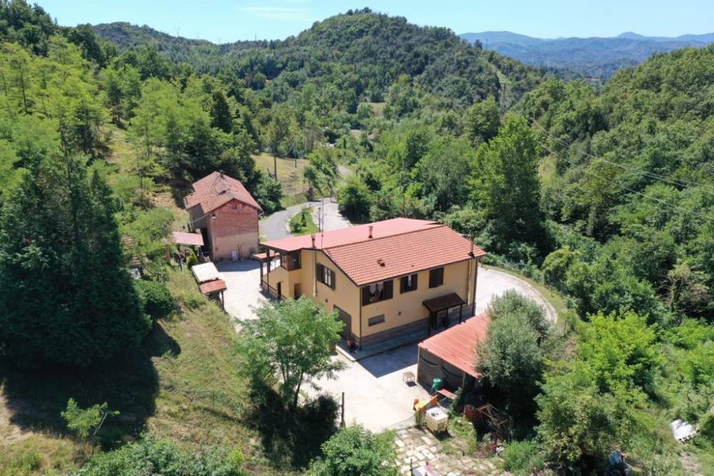 immagine annuncio 3 di 13