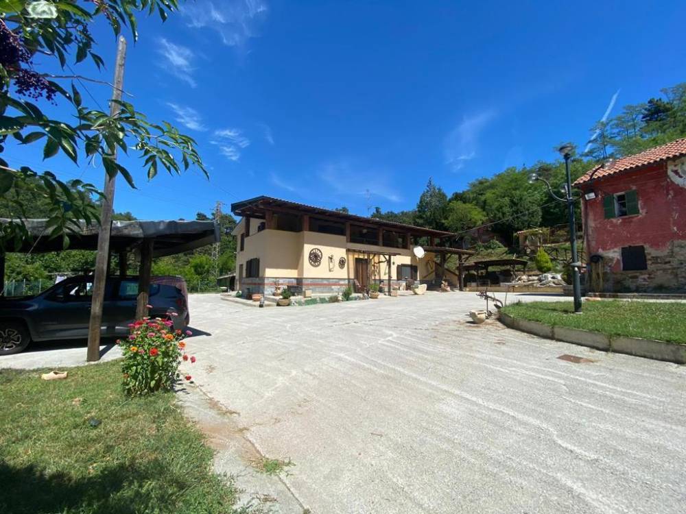 immagine annuncio 7 di 13