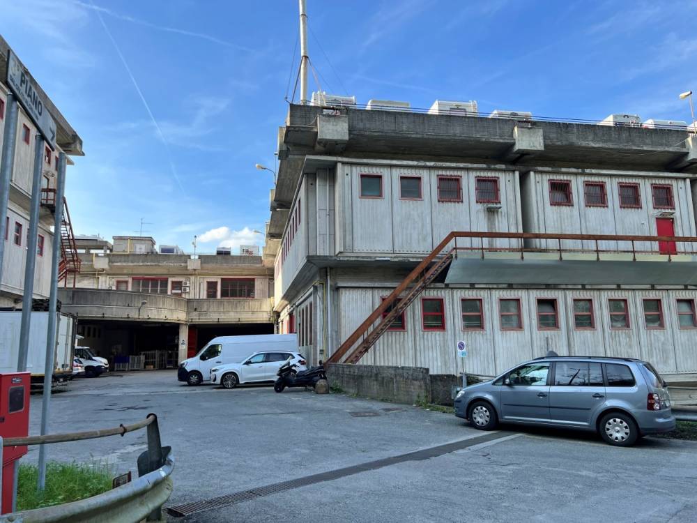 immagine annuncio 8 di 13
