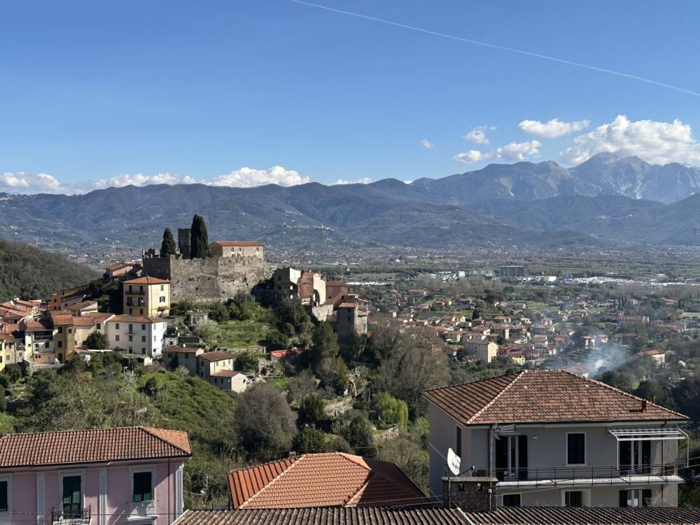 immagine annuncio 1 di 13