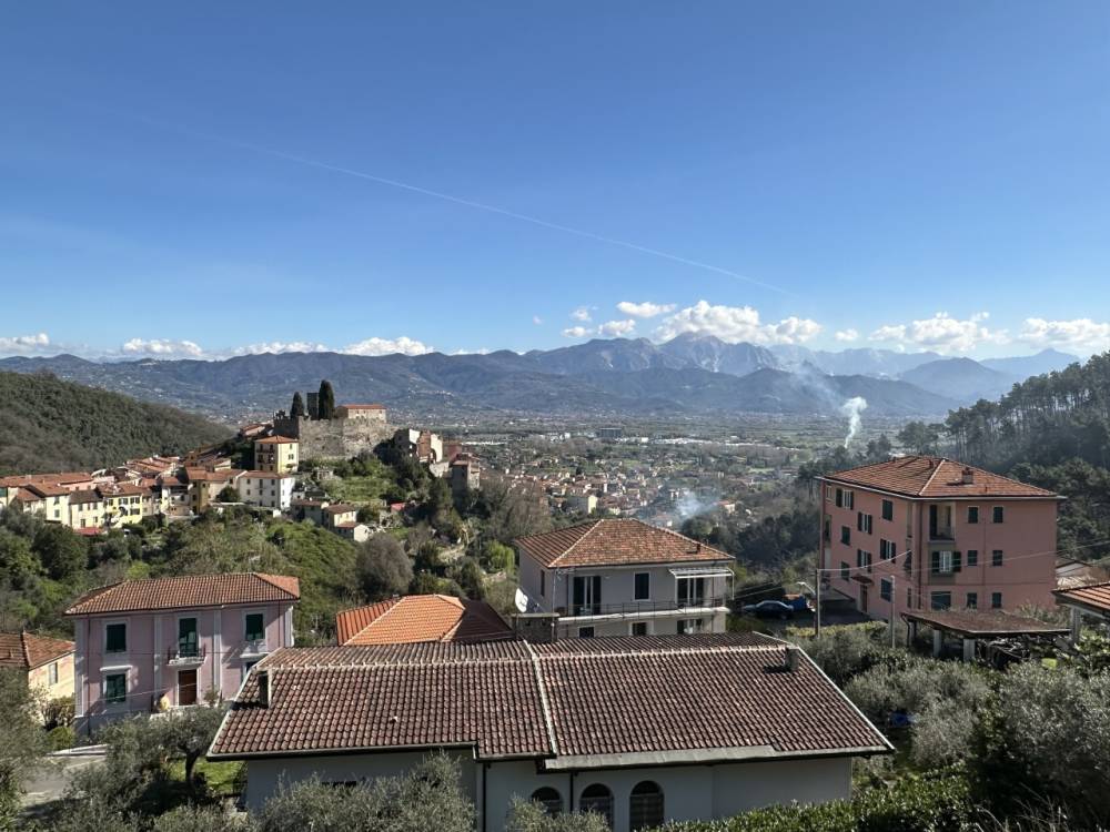 immagine annuncio 2 di 13