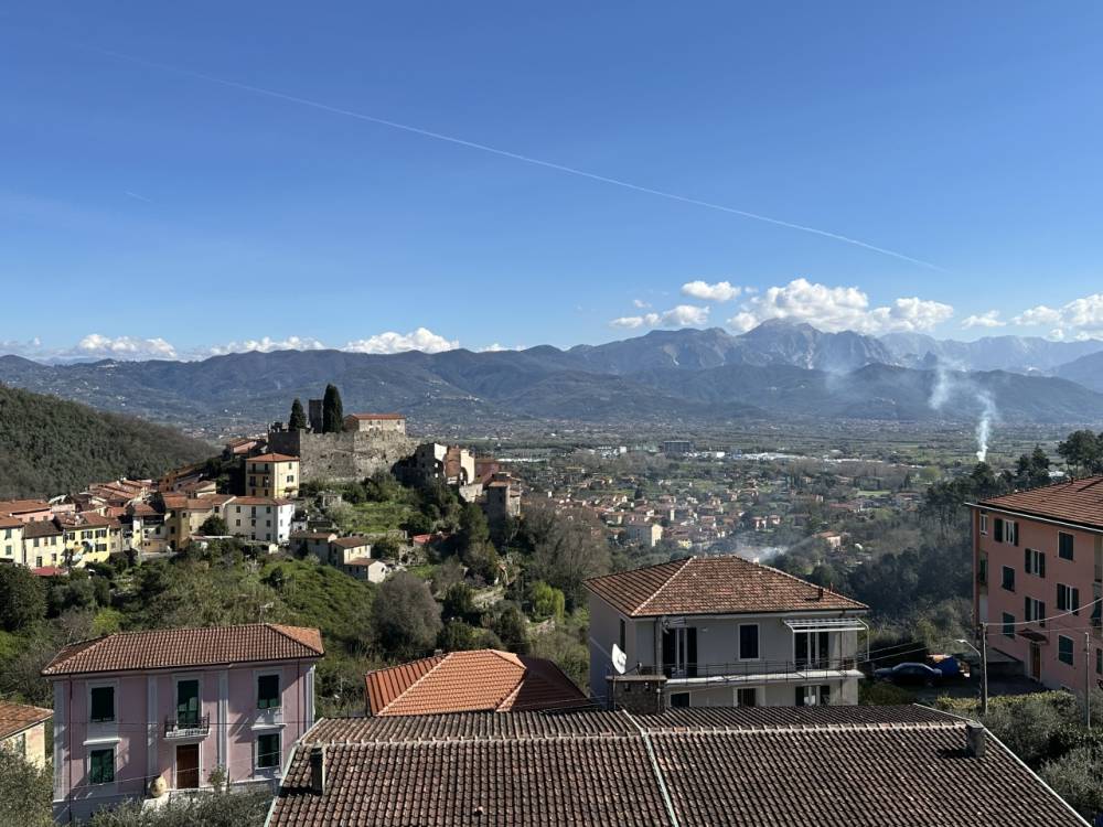 immagine annuncio 3 di 13