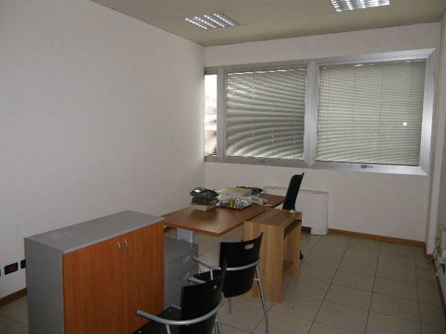 immagine annuncio 3 di 14
