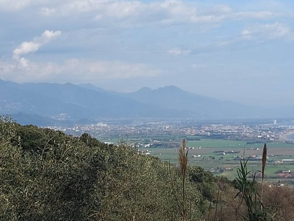 immagine annuncio 2 di 13