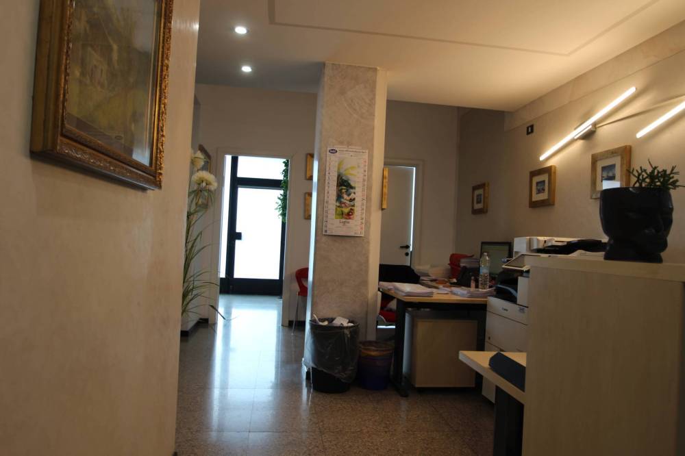immagine annuncio 9 di 13