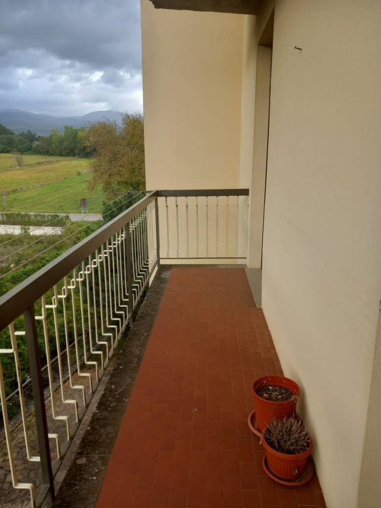 immagine annuncio 3 di 14