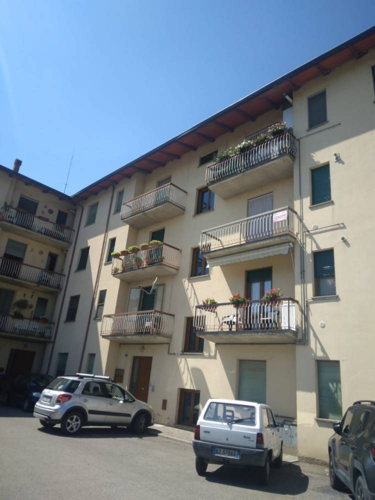 immagine annuncio 1 di 14