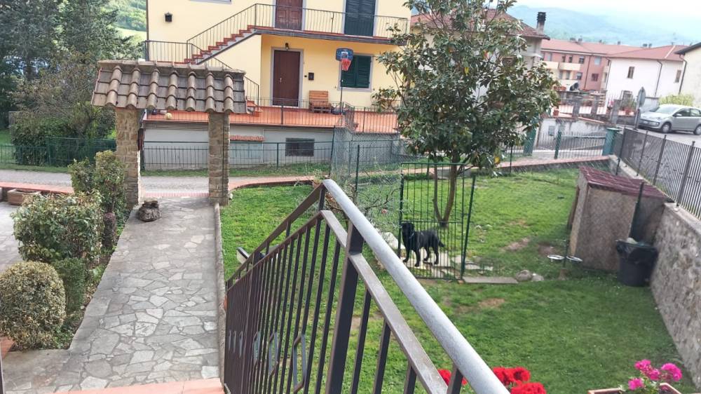 immagine annuncio 12 di 13