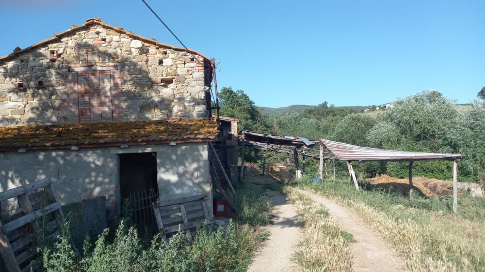 immagine annuncio 1 di 4