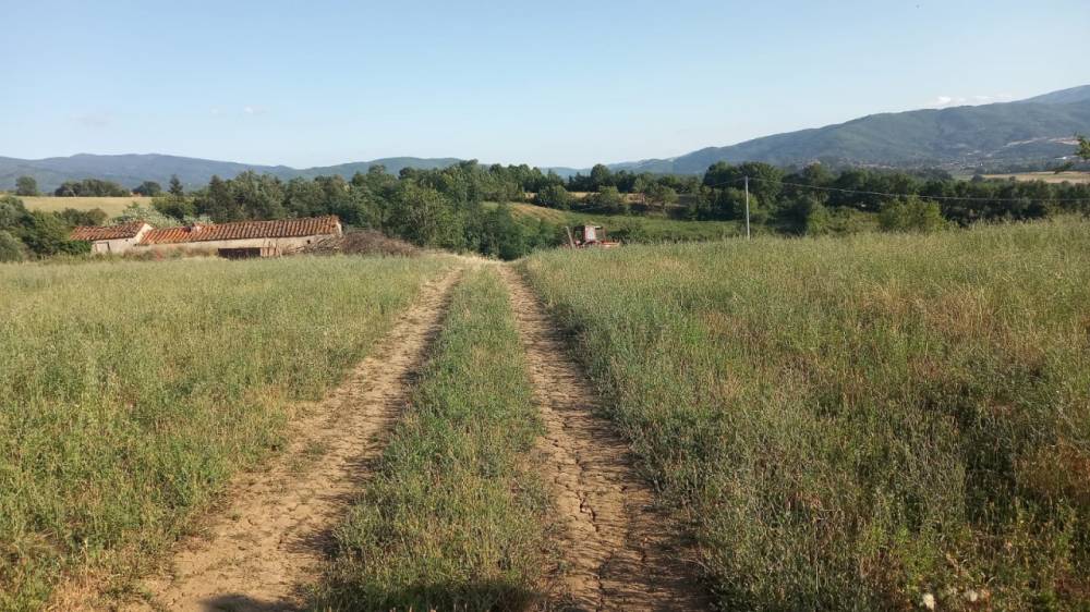immagine annuncio 2 di 4