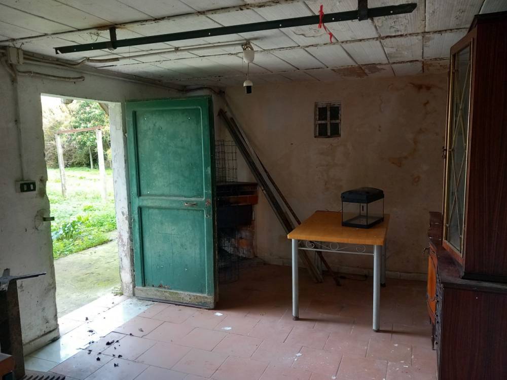 immagine annuncio 1 di 13