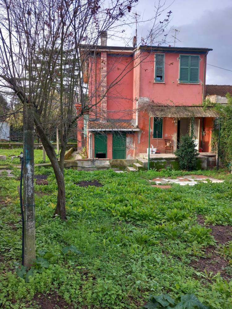 immagine annuncio 3 di 13