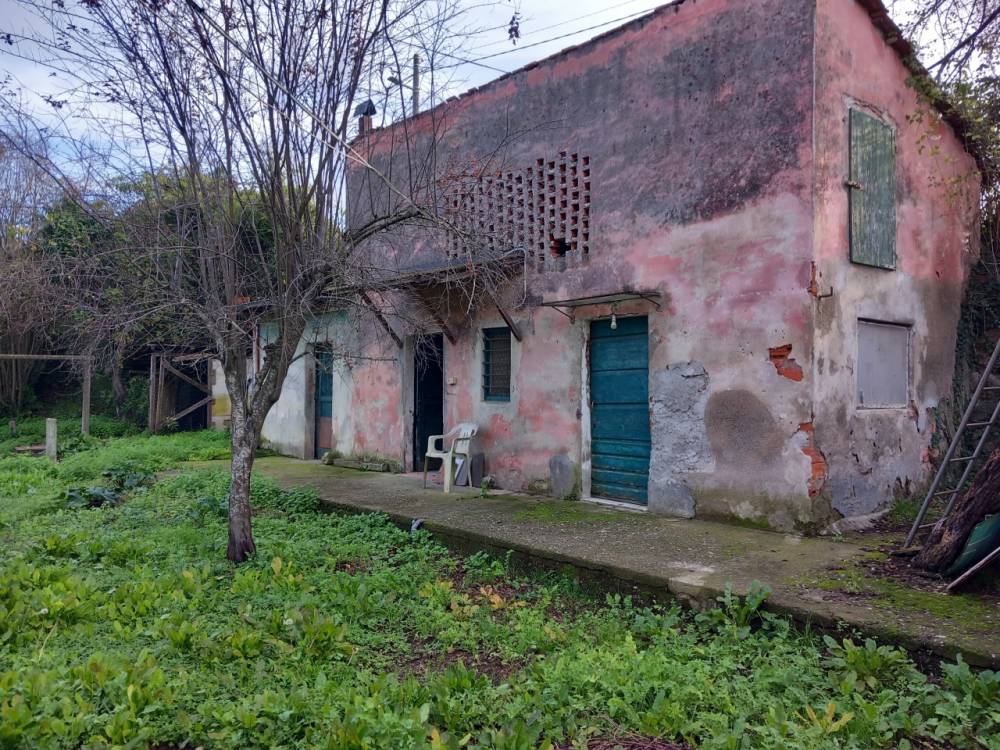 immagine annuncio 7 di 13