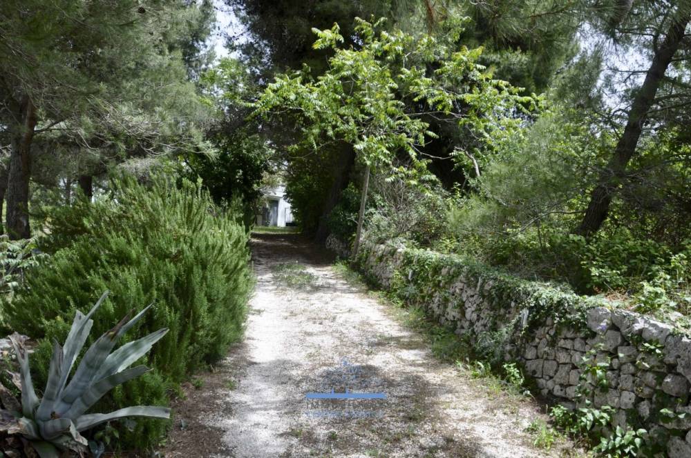 immagine annuncio 9 di 13